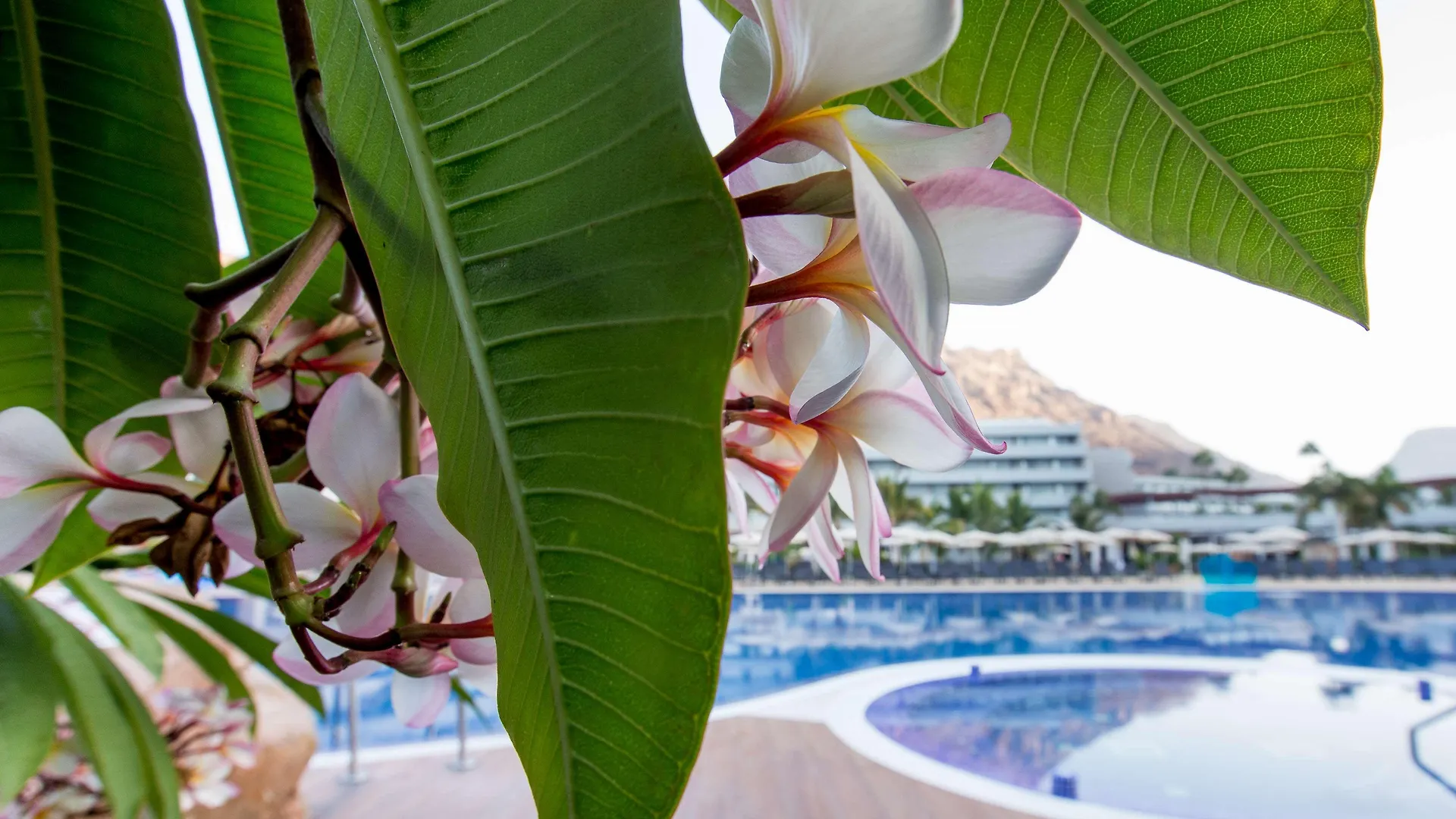 Radisson Blu Resort & Spa, Gran Canaria Mogan Puerto De Mogan 5*,